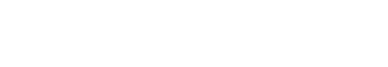 SlikWeb